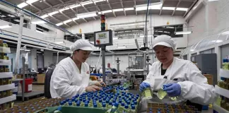 SE PRECISAN OPERARIOS/AS DE ENVASADO (POCA EXPERIENCIA), EMPRESA DEL SECTOR COSMÉTICA. BUEN PAGO Operarios/as De Envasado packaging operators