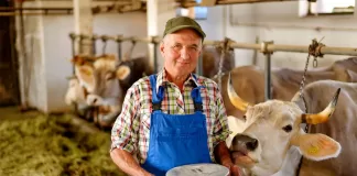 Trabajador Para Granja Láctea Dairy Farm Workers