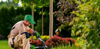 SE SOLICITAN AYUDANTES DE JARDINERÍA (CON O SIN EXPERIENCIA), LABORES GENERALES. BUEN PAGO Ayudantes De Jardinería garden helpers