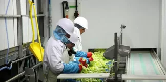 SE BUSCAN 4 OBREROS/AS DE LA PRODUCCIÓN (PROCESAMIENTO DE FRUTAS Y VERDURAS), POCA EXPERIENCIA. EXCELENTE PAGO POR HORA Obreros/as De La Producción production worker
