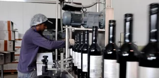 SE BUSCAN OPERARIOS/AS DE VIÑEDO CON O SIN EXPERIENCIA, SE OFRECE ESTABILIDAD LABORAL Y SALARIO COMPETITIVO Operarios/as De Viñedo vineyard operators