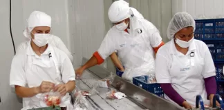 SE SOLICITA OPERARIO/A PARA LÍNEA DE PRODUCCIÓN Y ENVASADO DE ALIMENTOS (MÍNIMA EXPERIENCIA), TURNOS ROTATIVOS. EXCELENTE REMUNERACIÓN Operario/a Para Línea De Producción y Envasado Production and Packaging Line Operator
