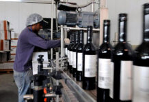 Peones/as Para Embotellado y Envasado De Vino Laborers for Bottling and Packaging Wine