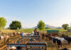 Trabajadores Para Granja/Rancho farm/ranch worker