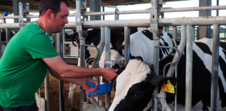 SELECCIONAMOS AYUDANTES DE RANCHO (ENTORNO AGRÍCOLA Y GANADERO), 3 VACANTES. SALARIO APROX. $3520 POR MES Ayudantes De Rancho Agrícola y Ganadero en Estados Unidos Empleo en Kansas Agricultural and Livestock Ranch Helpers in the United States Employment in Kansas