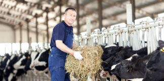 SE SOLICITAN AYUDANTES PARA RANCHO DE GANADO (3 VACANTES), PAGO $23.00 POR HORA + BENEFICIOS Ayudantes Para Rancho Empleado Para Rancho en Canadá Beef cattle herdsperson Ranch Helpers Ranch Employee in Canada