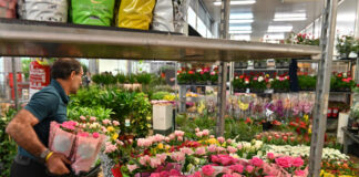 SE SOLICITAN EMPACADORES DE FLORES (NO REQUIERE EXPERIENCIA), 2 TURNOS DISPONIBLES. 70 VACANTES Empacadores de Flores empleo de empacador en estados unidos Empleo en Miami Flower Packers packer jobs in the United States Jobs in Miami