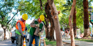 SE PRECISA PERSONAL DE LIMPIEZA VIARIA (HOMBRES Y MUJERES), CON O SIN EXPERIENCIA. SALARIO APROX. 1.350€/MES Personal De Limpieza Viaria Street Cleaning Staff female and male staff empleo de limpieza en España