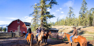 SE BUSCAN TRABAJADORES PARA ESTABLOS DE CABALLOS (HOMBRES Y MUJERES), 20 PUESTOS. SUELDO APROX. $3700,00 MENSUAL Trabajadores Para Establos de Caballos en Estados Unidos Horse Stable Workers in the United States Rancho de caballos Horse Ranch