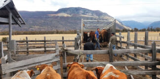 SE BUSCA AYUDANTE DE RANCHO GANADERO (NO REQUIERE EXPERIENCIA), 5 DÍAS A LA SEMANA. SALARIO $2420 POR MES Ayudante De Rancho Ganadero en Estados Unidos Empleo en Kentucky Empleo sin experiencia Livestock Ranch Helper in the United States Jobs in Kentucky Jobs without experience