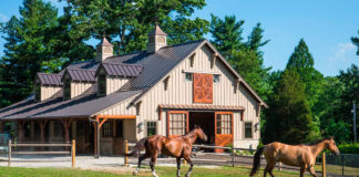 SE SOLICITAN 5 AYUDANTES DE RANCHO (CUIDADO Y MANEJO DE CABALLOS), NO REQUIERE EXPERIENCIA. SUELDO $2985,6 POR MES Ayudantes De Rancho Cuidado y Manejo de Caballos Estados Unidos Mexia Texas Empleo sin experiencia Ranch Helpers, Horse Care and Management farm employee in the United States