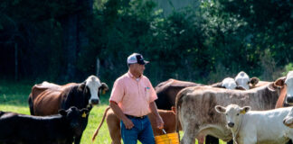 SE SOLICITAN AYUDANTES DE RANCHO (5 PUESTOS), POCA EXPERIENCIA. 40 HORAS SEMANALES, SUELDO $3664 POR MES Ayudantes de Rancho de ganado Trabajadores de Rancho Highmore Dakota del Sur Estados Unidos Cattle Ranch Helpers Ranch Workers Highmore South Dakota United States