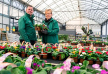 SE SOLICITAN AYUDANTES PARA VIVERO DE PLANTAS (POCA EXPERIENCIA), 10 VACANTES. SUELDO $3735 POR MES Ayudantes para vivero de plantas Personal para vivero en Míchigan vivero en Estados Unidos Plant Nursery Helpers Nursery Staff in Michigan Nursery in the United States