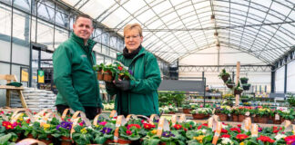 SE SOLICITAN AYUDANTES PARA VIVERO DE PLANTAS (POCA EXPERIENCIA), 10 VACANTES. SUELDO $3735 POR MES Ayudantes para vivero de plantas Personal para vivero en Míchigan vivero en Estados Unidos Plant Nursery Helpers Nursery Staff in Michigan Nursery in the United States