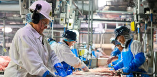 SE NECESITA OPERARIO/A INDUSTRIA CÁRNICA (LABORES DE ENVASADO Y ETIQUETADO), SALARIO APROX. 1833€ POR MES + BENEFICIOS Operario Industria cárnica Envasado y Etiquetado de productos cárnicos Empleo en Madrid España Operator Meat industry Packaging and Labeling of meat products Employment in Madrid Spain