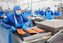 SE BUSCAN 80 PROCESADORES/AS DE MARISCOS Y PESCADO PARA OCEAN GOLD SEAFOODS EN WESTPORT, WASHINGTON (SIN EXPERIENCIA, H-2B TEMPORAL). PAGO DE $18.87 POR HORA Operario de Envasado de pescado Carretillero empleo de envasador en España Dueñas Valladolid provincia Fish packaging operator Forklift packer job in Spain Dueñas Valladolid province