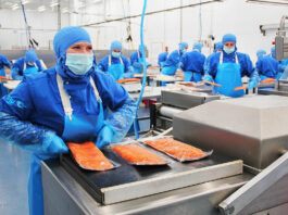 Operario de Envasado de pescado Carretillero empleo de envasador en España Dueñas Valladolid provincia Fish packaging operator Forklift packer job in Spain Dueñas Valladolid province