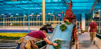 SE SOLICITA PEÓN/AYUDANTE PARA INVERNADERO (FULL TIME), INGRESO INMEDIATO. SALARIO HASTA $6330 AL MES Peón Ayudante Para Invernadero Empleo de Peón Agrícola en Canadá Greenhouse Helper Agricultural Laborer Jobs in Canada