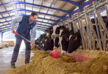 SE SOLICITA PEÓN/CUIDADOR PARA FINCA DE GANADO (PERSONA SOLA O CON FAMILIA), SE OFRECE VIVIENDA Y EXCELENTE REMUNERACIÓN Peón/cuidador Para Finca de ganado Laborer:caretaker for livestock farm empleo de peón en Costa Rica laborer employment in Costa Rica