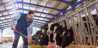 SE SOLICITA PEÓN/CUIDADOR PARA FINCA DE GANADO (PERSONA SOLA O CON FAMILIA), SE OFRECE VIVIENDA Y EXCELENTE REMUNERACIÓN Peón/cuidador Para Finca de ganado Laborer:caretaker for livestock farm empleo de peón en Costa Rica laborer employment in Costa Rica