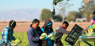 SELECCIONAMOS PEONES/AS AGRÍCOLAS (CON O SIN EXPERIENCIA), TIEMPO COMPLETO. 5 VACANTES, SALARIO $2784 AL MES Peones Agrícolas en Abbotsford Columbia Británica Canadá Empleo sin experiencia Farm Laborers in Abbotsford British Columbia Canada Jobs without experience farm workers