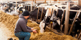 SE SOLICITAN TRABAJADORES GANADEROS/AYUDANTES DE RANCHO (POCA EXPERIENCIA), 13 PUESTOS. SUELDO $3517,44 POR MES Trabajadores Ganaderos Ayudantes de Rancho Ainsworth Nebraska Estados Unidos Livestock Workers Ranch Helpers farm employee in the United States