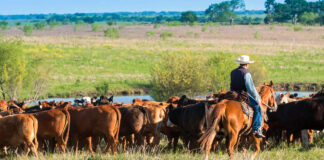 SE SOLICITAN 3 TRABAJADORES PARA RANCHO (NO REQUIERE EXPERIENCIA), 40 HORAS SEMANALES DE LUNES A VIERNES. SALARIO $2931,2 POR MES Trabajadores Para Rancho Rancheros en Dakota del Sur sin experiencia en Estados Unidos Workers for Rancho Rancheros in Groton South Dakota employment without experience in the United States