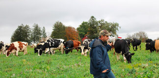 SE SOLICITAN TRABAJADORES PARA RANCHO/GRANJA CON O SIN EXPERIENCIA (2 VACANTES). SALARIO $3520 POR MES, EMPLEO PERMANENTE Trabajadores Para Rancho en Canadá Producción de ganado Cría de pavos Producción de aves y huevos Ranch Workers in Canada Livestock Production Turkey Farming Poultry and Egg Production