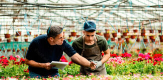 SE SOLICITAN TRABAJADORES PARA VIVERO DE PLANTAS (HOMBRES Y MUJERES). HORARIO FIJO DE 7:30 AM A 2:00 PM DE LUNES A VIERNES, SUELDO $2695 POR MES Trabajadores Para Vivero de Plantas Personal para Vivero en St. Paul en Oregón Plant Nursery Workers Nursery Staff in St. Paul, Oregon