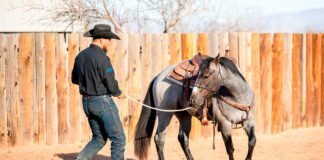 SE SOLICITAN AYUDANTES PARA RANCHO DE CABALLOS (2 VACANTES), POCA EXPERIENCIA. 40 HORAS SEMANALES, SALARIO $3300,8 MENSUAL Ayudantes Para Rancho de Caballos en Estados Unidos Preparador De Caballos Horse Ranch Helpers in the United States Horse Trainer