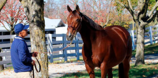 SE SOLICITAN AYUDANTES/PREPARADORES PARA RANCHO DE CABALLOS (20 VACANTES), POCA EXPERIENCIA. PAGO $16.51 POR HORA Ayudantes Preparadores Para Rancho de Caballos Horse Ranch Helpers Preparators Aiutanti Preparatori di Horse Ranch Helfer/Vorbereiter Para Rancho de Caballos