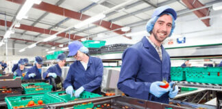 SE PRECISAN MANIPULADORAS/ES DE FRUTA Y VERDURA (MÍNIMA EXPERIENCIA), INCORPORACIÓN INMEDIATA. REMUNERACIÓN COMPETITIVA Manipuladoras de Fruta y Verdura envasador en España Operai nel settore della movimentazione di frutta e verdura Obst- und Gemüsehändler packaging jobs in Spain
