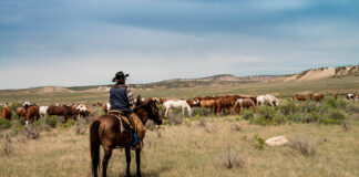 SE SOLICITA PEÓN PARA RANCHO Y GRANJA (CON O SIN EXPERIENCIA), TIEMPO COMPLETO. SALARIO $2799 POR MES Peón Para Rancho y Granja en Estados Unidos Ranch and Farm Laborer farm employee in the United States job without experience Ranch e bracciante agricolo