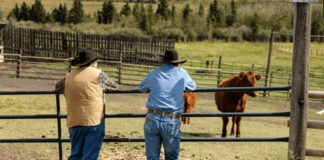 SE NECESITAN TRABAJADORES PARA RANCHO DE GANADO (5 PUESTOS), POCA EXPERIENCIA. SALARIO $3490,56 MENSUAL Trabajadores Para Rancho de Ganado Ranch Workers Rinderfarmarbeiter Lavoratori del ranch di bestiame empleado para granja en Estados Unidos farm employee in the United States
