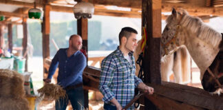 SE BUSCA AYUDANTE/PEÓN PARA ESTABLO DE CABALLOS, NO SE REQUIERE EXPERIENCIA, SE ENTRENARÁ. PAGO $23.00 POR HORA Ayudante Peón Para Establo de Caballos Empleado Para Rancho en Canadá empleo en Quebec Horse Stable Helper Ranch Employee in Canada