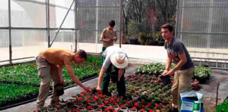 SE SOLICITAN AYUDANTES PARA VIVERO DE PLANTAS (POCA EXPERIENCIA), PAGO $18.18 POR HORA. INGRESO INMEDIATO Ayudantes Para Vivero de Plantas en Oberlin Ohio Personal para Vivero en USA Plant Nursery Helpers in Oberlin Ohio Nursery Staff in the USA