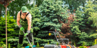 SE SOLICITA JARDINERO PARA EMPRESA DE PAISAJISMO COMERCIAL, INGRESO INMEDIATO. PAGO $17,00 A $19,00/HORA Jardinero Empleo de Jardinero en Estados Unidos Empleo en California Gardener Gardener Jobs in the United States Jobs in California