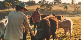 SE BUSCA TRABAJADOR GANADERO (POCA EXPERIENCIA), INGRESO INMEDIATO. SALARIO $3483,2 MENSUAL + ALOJAMIENTO, COMIDAS Y BONIFICACIONES Trabajador Ganadero Empleo en Texas Livestock Worker Employment in Texas Lavoratore del bestiame Vieharbeiter Landangestellter in den Vereinigten Staaten