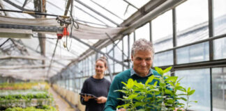 SE NECESITAN 60 TRABAJADORES PARA VIVERO DE PLANTAS (HOMBRES Y MUJERES), NO REQUIERE EXPERIENCIA. PAGO $18.00 POR HORA Trabajadores En Vivero De Plantas en Estados Unidos Empleo sin experiencia Lavoratori di vivai Gärtnereiarbeiter Plant Nursery Workers in the United States Employment without experience