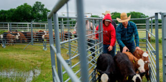 SE SOLICITAN 3 TRABAJADORES PARA RANCHO DE GANADO (NO REQUIERE EXPERIENCIA PREVIA), SE ENTRENARÁ. BUEN PAGO POR HORA Trabajadores Para Rancho De Ganado Empleo sin Experiencia Empleo en Columbia Británica Canadá Cattle Ranch Workers Jobs without Experience Jobs in British Columbia Canada
