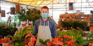 SE SOLICITAN 5 TRABAJADORES PARA VIVERO DE PLANTAS (HOMBRES Y MUJERES), NO REQUIERE EXPERIENCIA. SUELDO $2960 AL MES Trabajadores Para Vivero De Plantas arboles, Personal para Vivero Merrill Wisconsin empleo sin experiencia en USA Plant Nursery WorkersBaumschularbeiter Lavoratori del vivaio