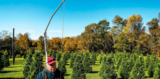 SE SOLICITAN 120 TRABAJADORES/AS PARA VIVERO DE PLANTAS (NO REQUIERE EXPERIENCIA), 40 HORAS SEMANALES. PAGO $18.00 POR HORA Trabajadores Para Vivero de Plantas en Estados Unidos Personal para Vivero de arboles de navidad Plant Nursery Workers in the United States Christmas Tree Nursery Staff