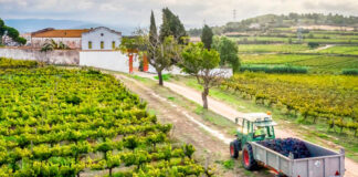 SE PRECISA EMPLEADO DE MANTENIMIENTO PARA FINCA AGRARIA (TURNO DE MAÑANA). SALARIO 1.552,02 € AL MES, 14 PAGAS AL AÑO Empleado de Mantenimiento Para Finca Agraria Limpieza y Mantenimiento de Finca en Mataró Empleo en Barcelona Maintenance Employee for Agricultural