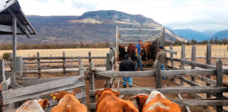 SE NECESITA MATRIMONIO DE GUARDESES PARA FINCA DE GANADO (CUIDADO Y MANTENIMIENTO), SE OFRECE VIVIENDA Y BUENA REMUNERACIÓN Matrimonio de Guardeses Para Finca de Ganado empleo de Guardeses en España Marriage of Guardsmen for Livestock Farm employment of Guardsmen in Spain