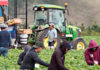 SE SOLICITAN PEONES AGRÍCOLAS PARA GRANJA DE FRUTAS Y VERDURAS (CON O SIN EXPERIENCIA), 8 VACANTES. FULL TIME, PAGO $28,85 POR HORA Peones Agrícolas Granja de Frutas y Verduras en Canadá Delta Columbia Británica Empleo sin experiencia en Canadá Agricultural Laborers in Canada Delta British Columbia Jobs without experience in Canada