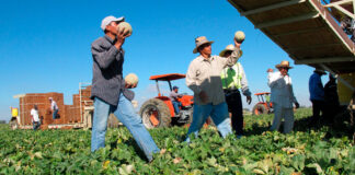 SE SOLICITAN PEONES AGRÍCOLAS PARA FINCA (CON O SIN EXPERIENCIA), LABORES GENERALES DE CAMPO. SALARIO APROX. 1830€ AL MES Peones Agrícolas en España Vera Empleo en Almería Empleo sin Experiencia en España Agrícola sin experiencia Agricultural Laborers for Farm in Spain Employment without Experience in Spain
