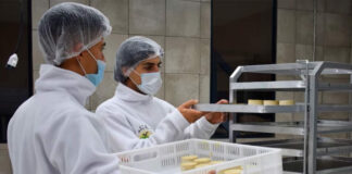 SE SOLICITA PERSONAL DE PRODUCCIÓN PARA FÁBRICA DE QUESOS VEGANOS (CON O SIN EXPERIENCIA), SALARIO APROX. 1800€ AL MES Personal de Producción Fábrica de Quesos Veganos Vallelado Empleo en Segovia Empleo sin experiencia Production Personnel Vegan Cheese Factory operator