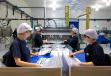 SE BUSCA OPERARIO/A DE PRODUCCIÓN (TURNO A) PARA HERAEUS EN CARTAGO (DE 0 A 3 AÑOS DE EXPERIENCIA), NOVENO AÑO. CONTRATO INDEFINIDO Personal para Producción y Manufactura Operario en Costa Rica Empleo sin experiencia Personnel for Production and Manufacturing Operator in Costa Rica Employment without experience