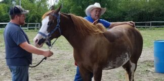SE SOLICITAN AYUDANTES PARA RANCHO DE CABALLOS (3 PUESTOS), 36 HORAS SEMANALES. SALARIO $2566 AL MES Ayudantes Para Rancho de Caballos en USA Preparador de Caballos en USA Empleo en Nueva York Helpers for Horse Ranch in USA Horse Trainer in USA Employment in New York