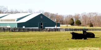 SE NECESITA PAREJA PARA CUIDADO DE GRANJA (POCA EXPERIENCIA). SALARIO $5000 MENSUAL + ALOJAMIENTO TOTALMENTE AMUEBLADO, CON SERVICIOS INCLUIDOS Pareja Para Cuidado de Granja en Nueva York empleado para granja en Estados Unidos Cuidado de finca rancho en Hudson Couple for Farm Care in New York Ranch in Hudson